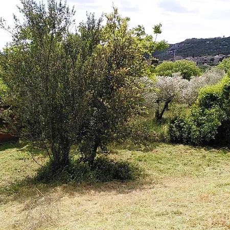 La Bergerie De Ferienhaus Corconne